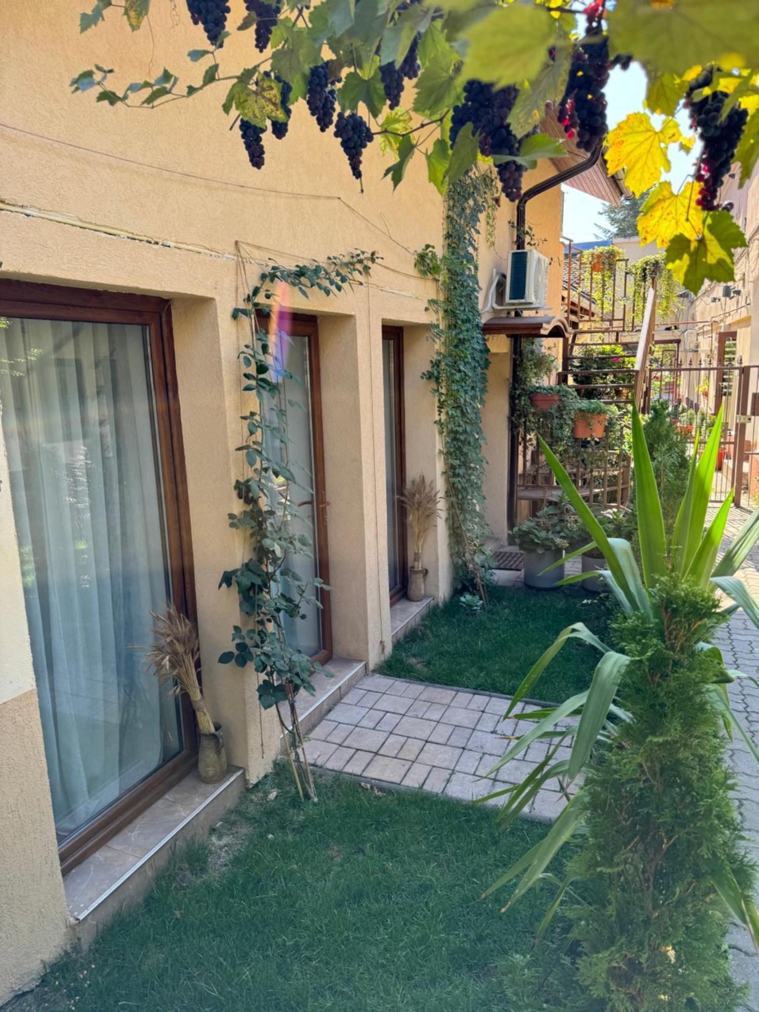 Studio Rezistenta Făgăraş Exterior foto